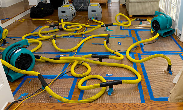 Professional Emergency Water Removal technician working in Grandview, IL